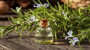 روغن رزماری