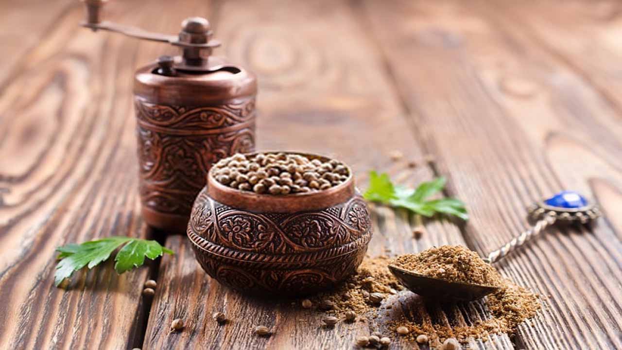 گشنیز