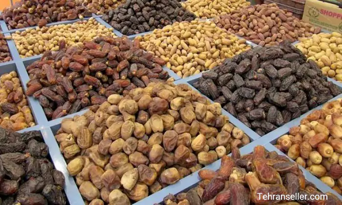 انواغ خرما و مزیت آن