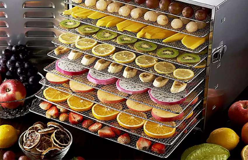 انواع میوه خشک و خواص آن